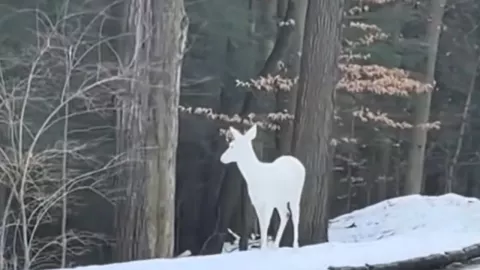 Texto del párrafo - 2025-05-21T125726.060.jpg