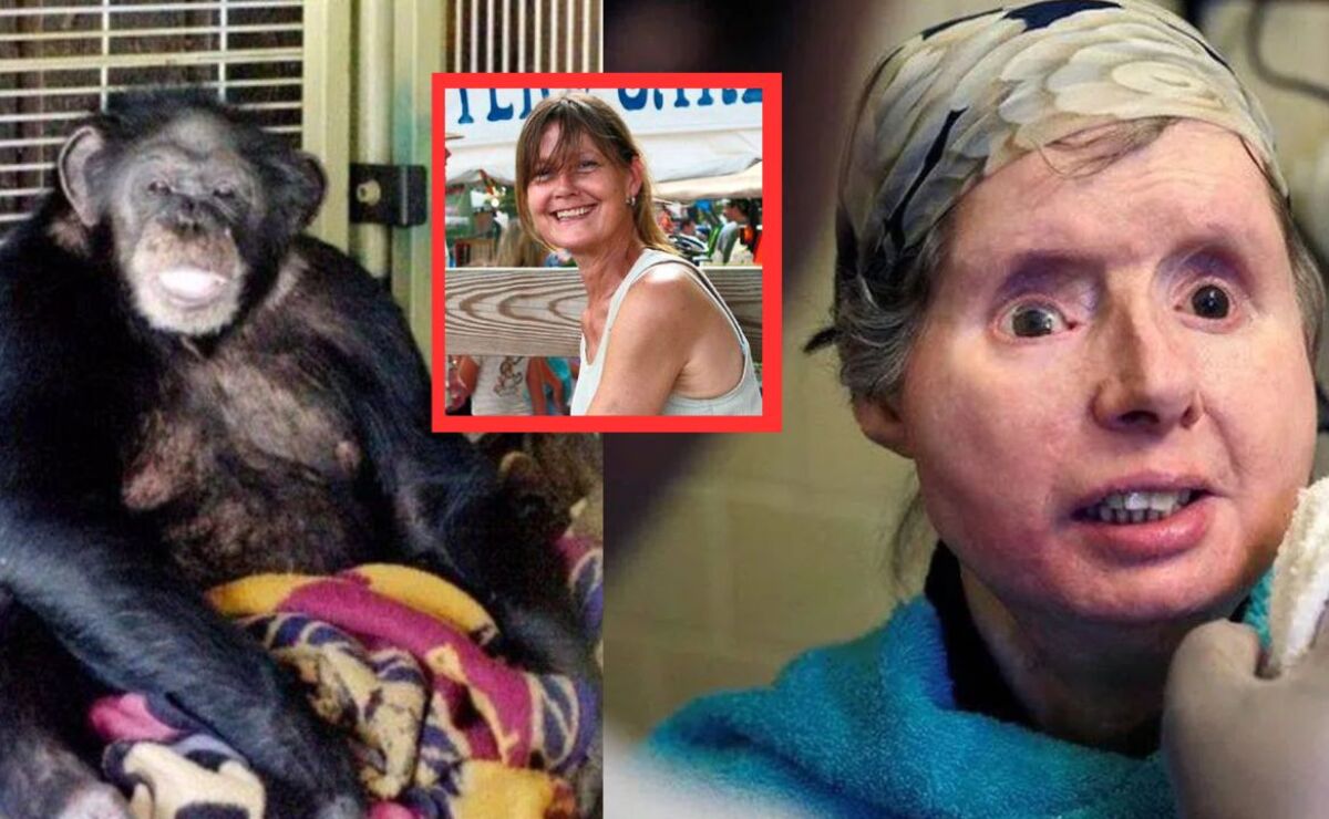 Qué ver en el cine, image size:1200x740