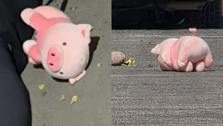 “cerdito rosa”