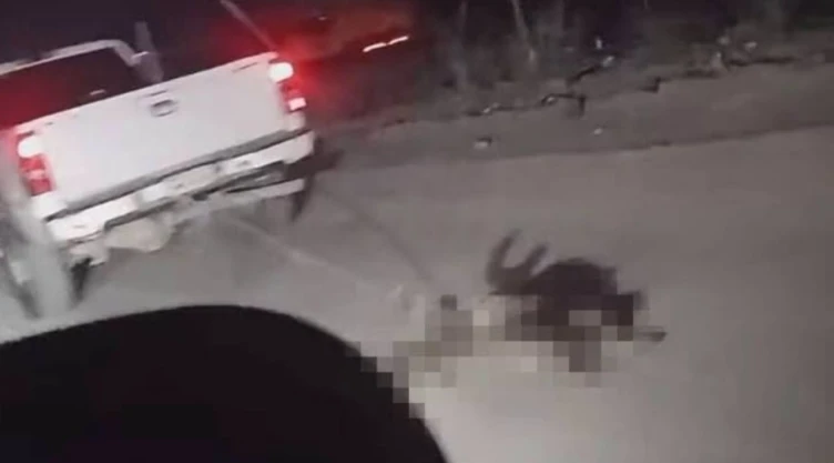 ¡Sigue-la-polémica_-VIDEO-del-perro-arrastrado-en-BC-da-un-giro_-propietario-de-camioneta-explica-po.webp