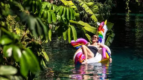 WhatsApp Image 2024-01-12 at 5.41.52 PM.jpeg