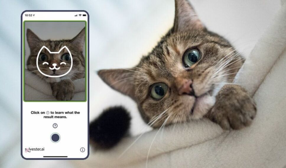 Con la cámara de un smartphone es posible conocer el estado de ánimo del animal.