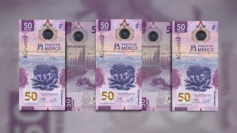 Pagan más de 350,000 pesos por colección de billetes del ajolote serie ‘Bromo′.jpg