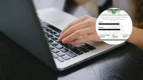 Los pasos para validar tu CURP en RENAPO en menos de 5 minutos