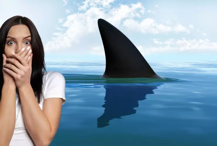 Las 2 playas de Oaxaca donde es más probable que te salga un tiburón, según la IA