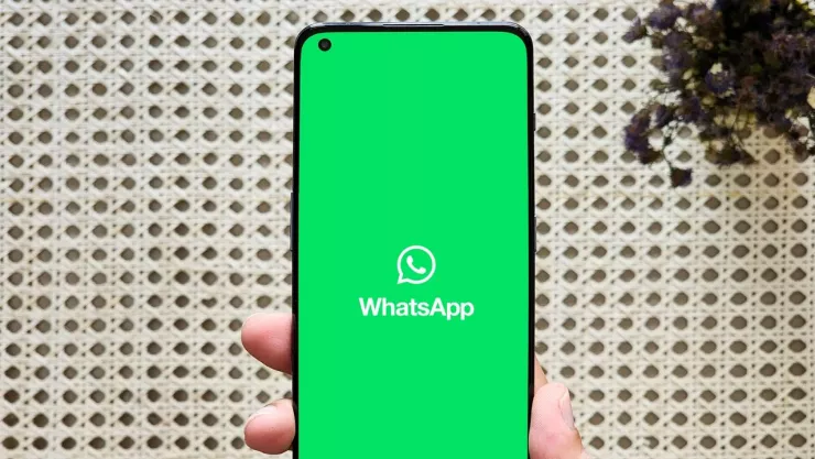 Texto del párrafo - 2025-04-14T121615.557.jpg