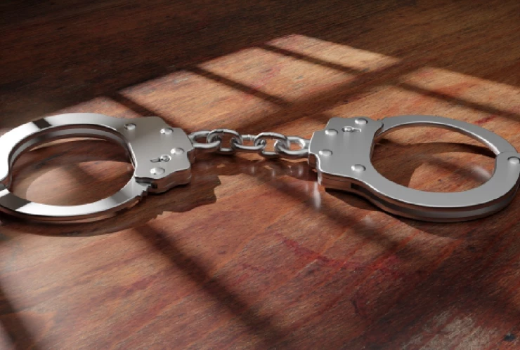 WhatsApp Image 2024-01-05 at 2.52.23 PM.jpeg