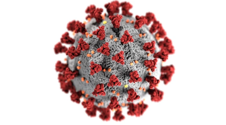 Cuál es la diferencia pandemia endemia epidemia