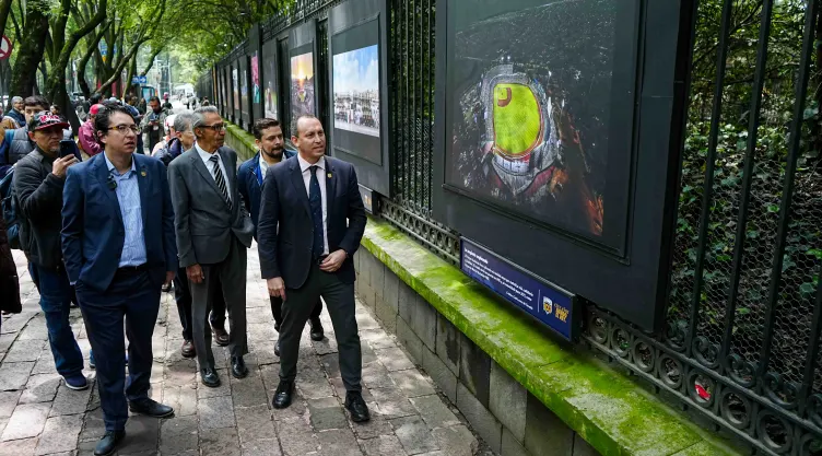 galeria fotografica bosque de chapultepec