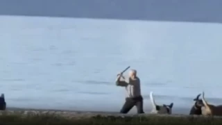 Captura de pantalla 2025-12-02 a la(s) 1.32.10 p.m..png