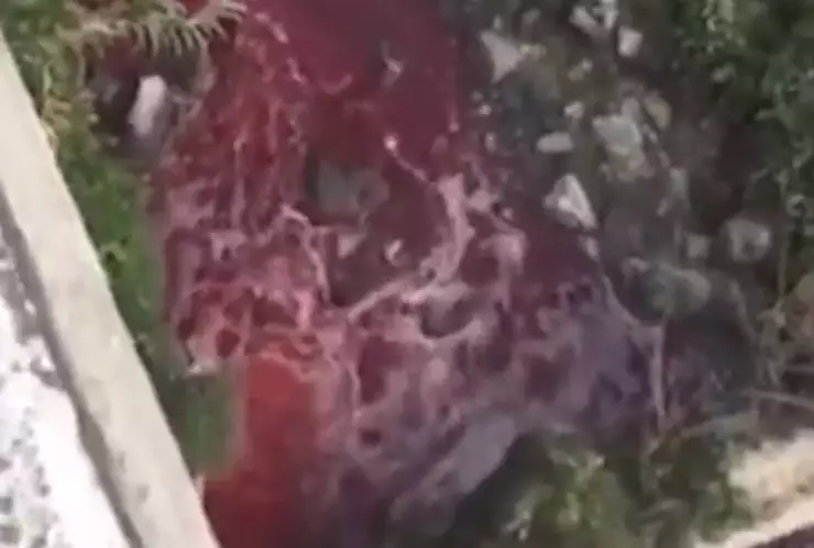 ¿Río de ‘sangre’? Caudal en Atoyac, Puebla, se pinta de rojo y alarma a pobladores; esto se sabe