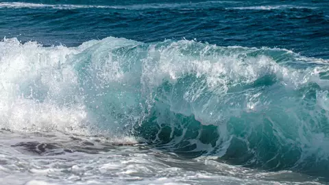 Mar de fondo en Guerrero ¿Cómo mantenerte a salvo y qué hacer si te jala.jpg