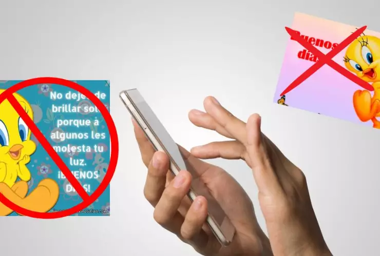 imagen de piolín en los celulares