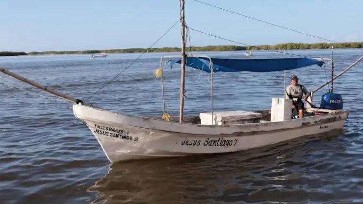 Aumentan a 32 mil toneladas la cuota de captura de pulpo en Yucatán
