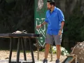 Unas deliciosas quesadillas para cada miembro de la tribu ganadora.