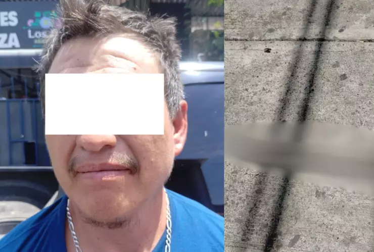 Hombre asesina a su gato con un machete en la colonia Patria Nueva en Guadalajara