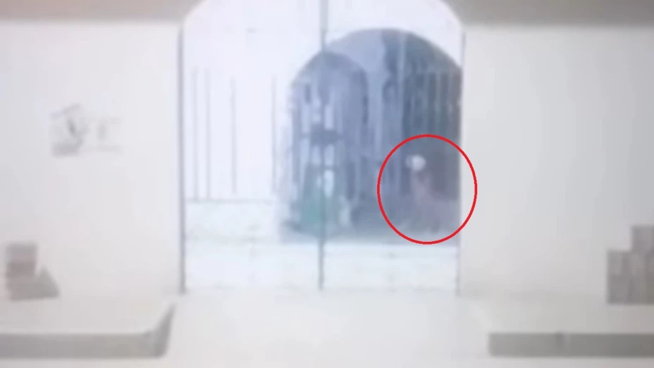 fantasma niña panteón santiago miahuatlán puebla