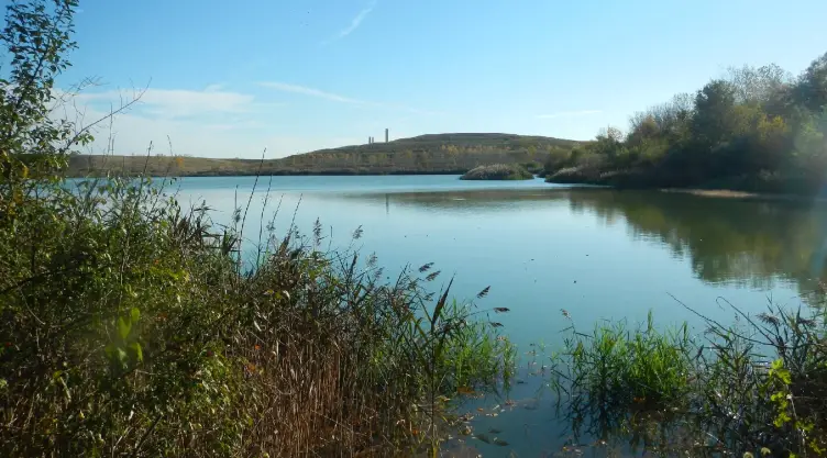 El parque estatal Sangchris Lake State Park fue calificado como el mejor para visitar en familia