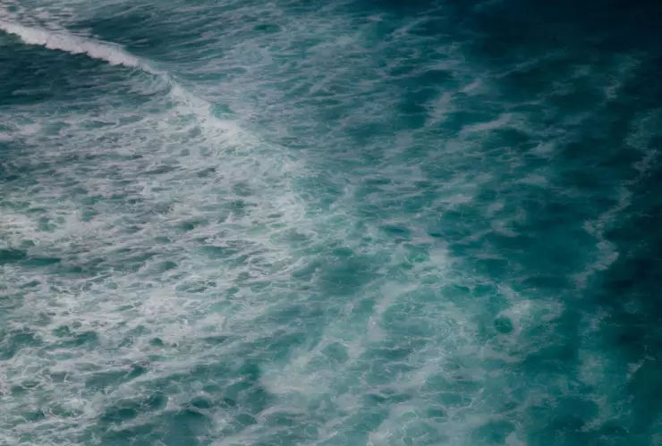 criatura marina de 20 brazos