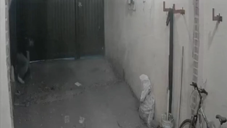 captan-a-ladron-entrando-por-una-coladera-para-robar-casas-en-naucalpan-edomex