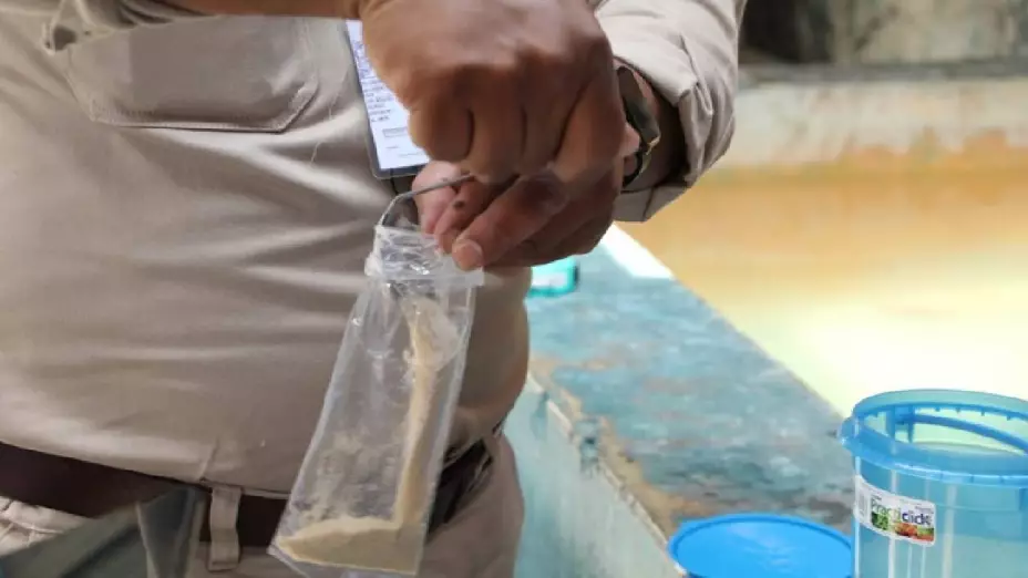 Guerrero logra estabilizar los casos de dengue a pesar de los desafíos del año.jpg