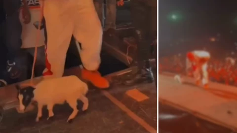 Highstar Lavista arrastra a un cabrito.png