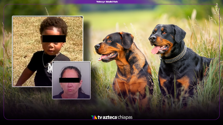 Niño ataque de perros