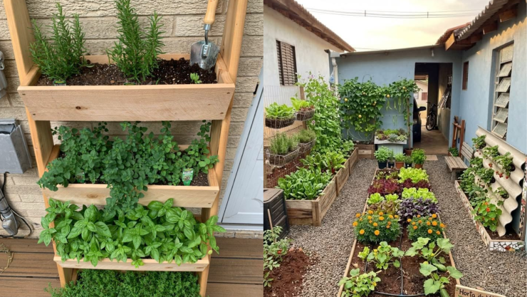 Qué hacer con las cajas de verdura 5 ideas para hacer un huerto en casa