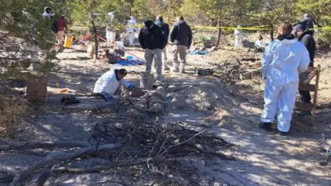 cuerpos localizados en la fosa clandestina