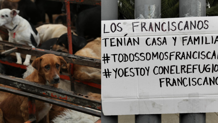 caso refugio franciscano cdmx