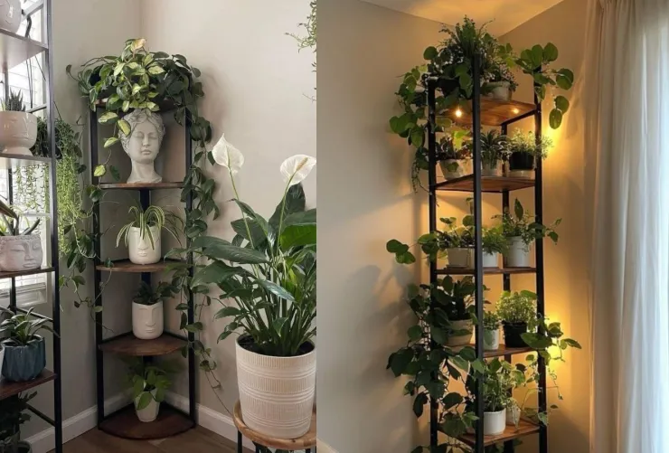 Muebles con division y plantas.jpg