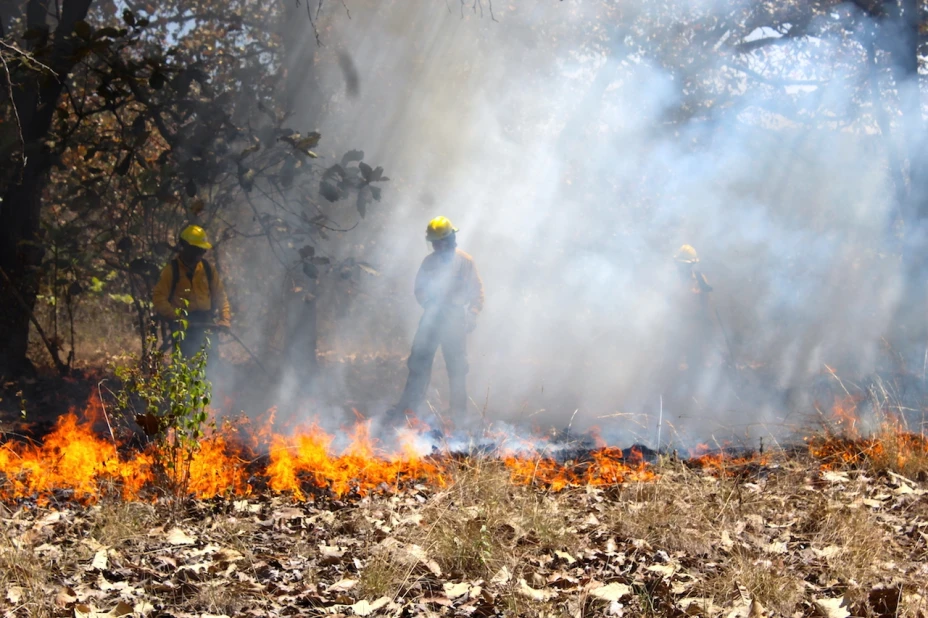 Incendios forestales