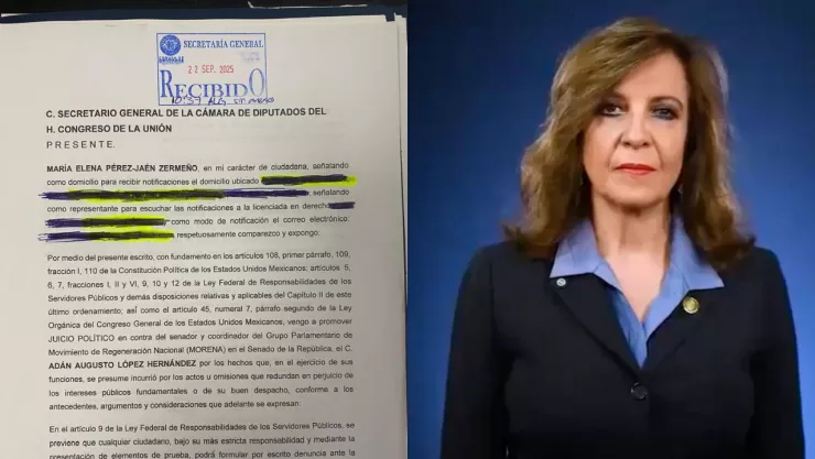 Panista María Elena Pérez.