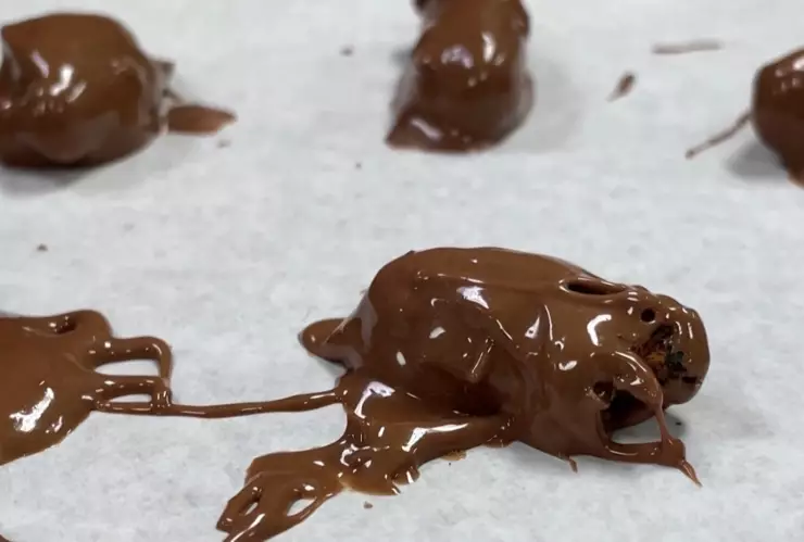 Cigarras bañadas en chocolate, la nueva sensación en Estados Unidos.