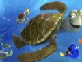 buscando-a-nemo