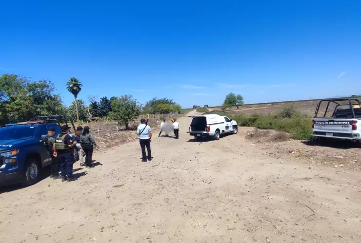 Encuentran hombre sin vida en el Ejido Plan de San Luis en Ahome