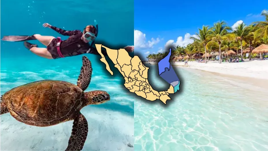 /viajes/2-playas-paradisiacas-de-tulum-ideales-para-visitar-todo-el-ano