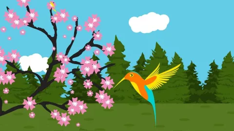 /estilo-de-vida/haz-bebedero-colibries-botella-plastico-facil