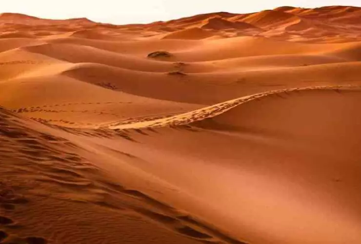 La fecha en la que llegará el Polvo del Sahara a Yucatán; toma precauciones.jpg