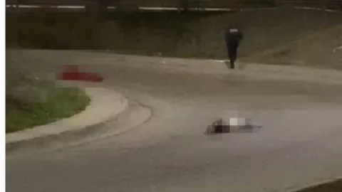 cuerpos-localizan-puente