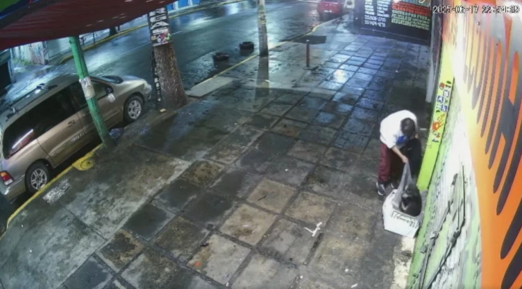 Una cámara de videovigilancia captó el momento en que un sujeto robó la cobija donde el perro descansaba.