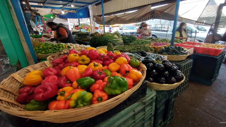 Día Mundial Alimentación.jpg