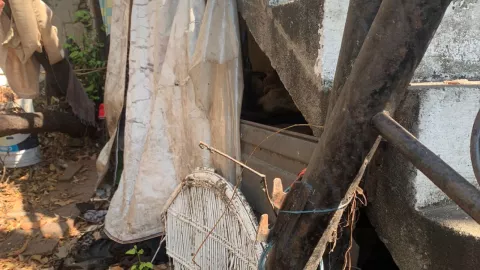 localizan mujer de la tercera edad sin vida