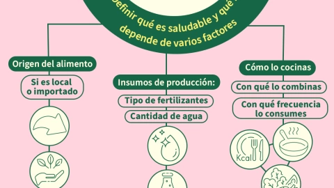 Alimentos callejeros UNAM