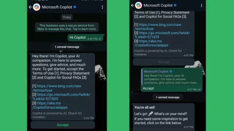 Estos son los pasos para activar Copilot en WhatsApp