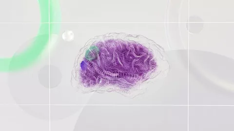 Cuida las funciones de tu cerebro con estos alimentos que previenen el Alzheimer