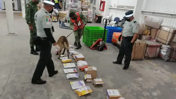 B00B0A 327 MILLONES DE PESOS EN DROGAS.jpeg
