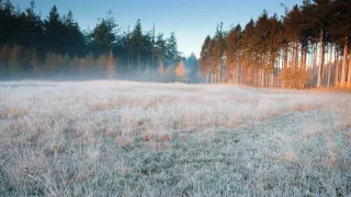 Alertan por riesgo de heladas en la madrugada en Puebla: zonas vulnerables