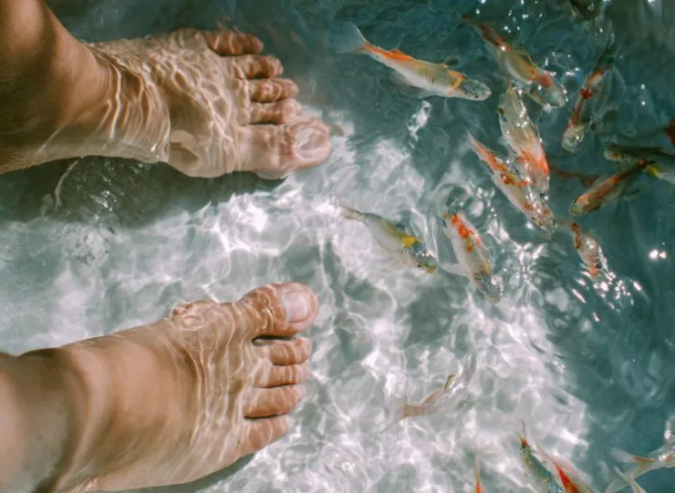 spa con peces.jpeg