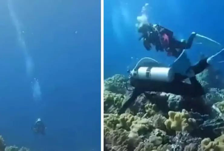 VIDEO_ Así es como se percibe un sismo bajo el mar